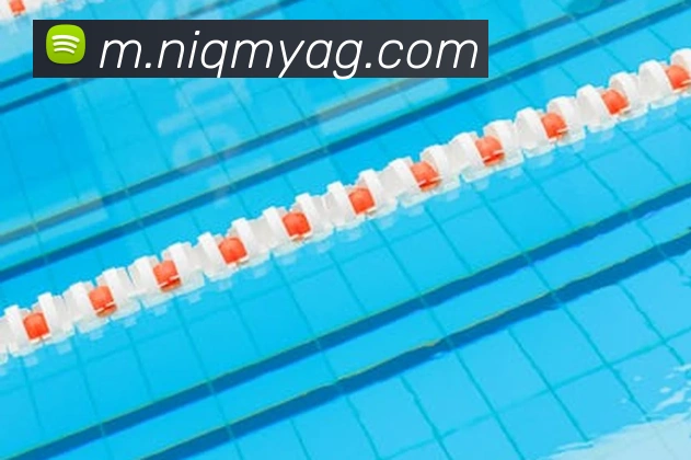 ag百家乐平台生态图